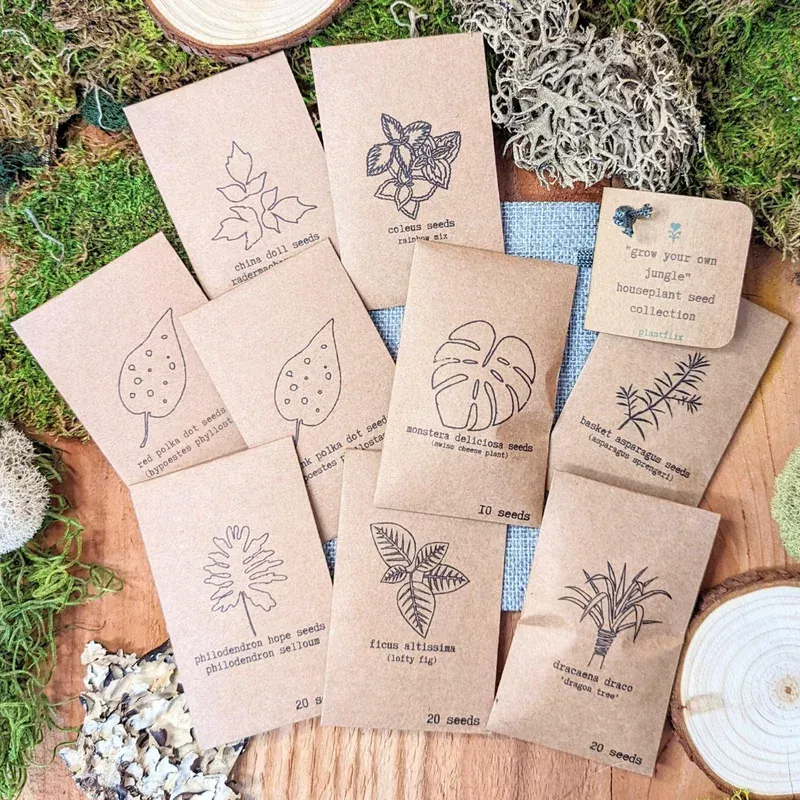 grow-your-own-jungle-houseplant-seed-collection “Grow your own Jungle” Houseplant Seed Collection