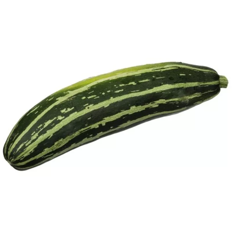 Zucchetti Baby Marrow Squash – ORGANIC – Heirloom Vegetable – 5 Seeds